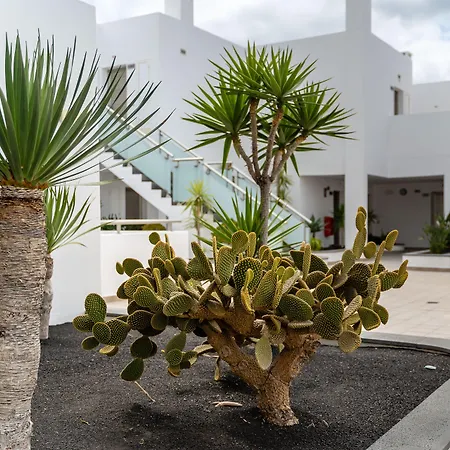 Отель Lanzarote Village