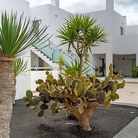 Lanzarote Village Hotel